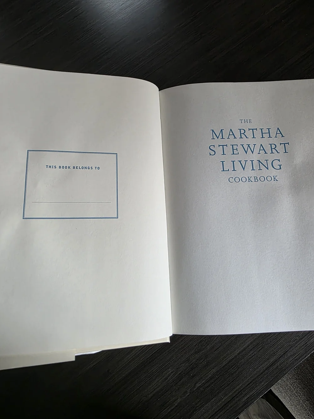 Vintage Martha Stewart Living Cookbook – Cream cover blue text